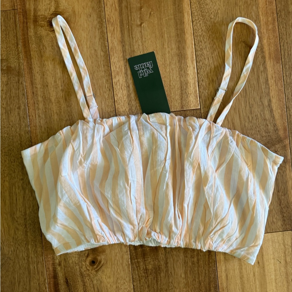 NWT Wild Fable Striped Crop Top